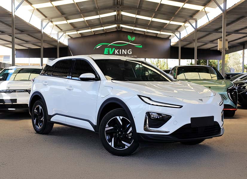 NETA X 500 2023 باللون الأبيض