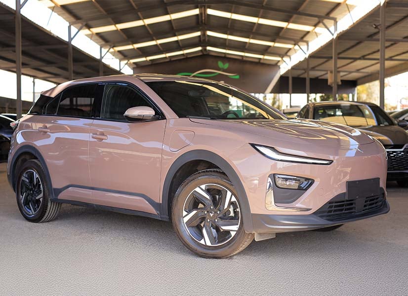 NETA X 500 2023 باللون البني