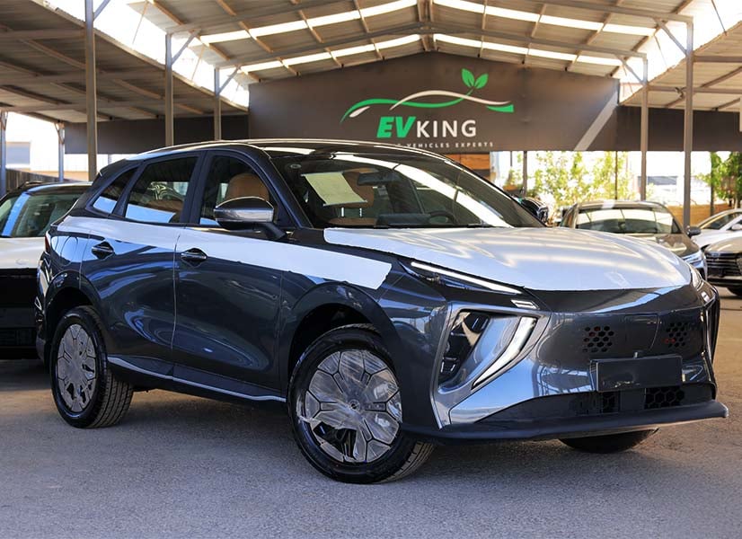 Dongfeng · Friday Reev · 2026 باللون الرمادي